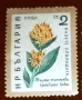 Български пощенски марки с цветя. Серия "Пазете природата". 1960 г., снимка 2