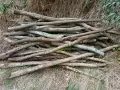 Дърва за огрев нарязани , снимка 1