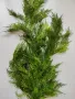 Изкуствен стрък папрат различни видове, снимка 6
