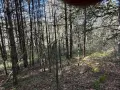 Земеделска земя , снимка 16