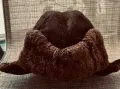 Шапка ушанка естествена кожа, снимка 2