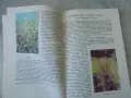 № 8796 Книга "Природна аптека "   , снимка 3