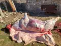 продавам прясно телешко месо, снимка 4
