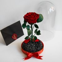 Вечна Роза в ГОЛЯМА стъкленица / Уникален Подарък за Жена / Естествена Вечна роза Подарък за Момиче, снимка 5 - Други - 34470627
