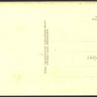 Пощенска картичка Майрхофен преди 1939 от Австрия, снимка 2 - Филателия - 35487303