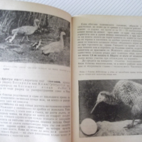 Книга "Изчезнали и изчезващи животни - Н.Николов" - 292 стр., снимка 6 - Специализирана литература - 36561035