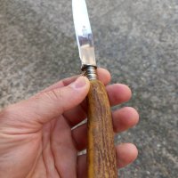 Нож Solingen с дръжка от еленов рог , снимка 9 - Антикварни и старинни предмети - 39678207