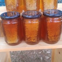 Пчелен мед,пити с мед   - реколта 2023, снимка 5 - Пчелни продукти - 18858767