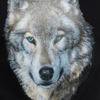 Нов мъжки суичър с трансферен печат Вълк със сини очи, Серия вълци, снимка 13 - Суичъри - 27757213