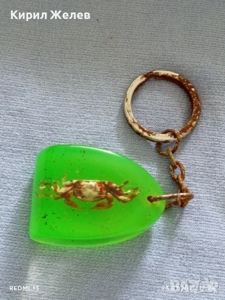 Ключодържател хербарий Рак много красив интересен модел 31428, снимка 1