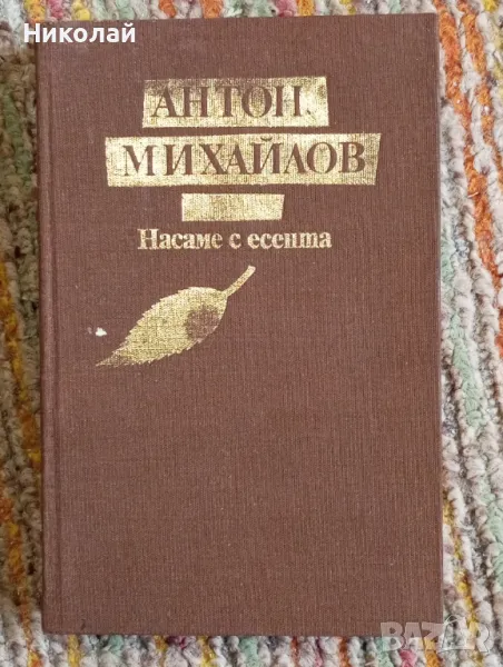 Насаме с есента - Антон Михайлов , снимка 1