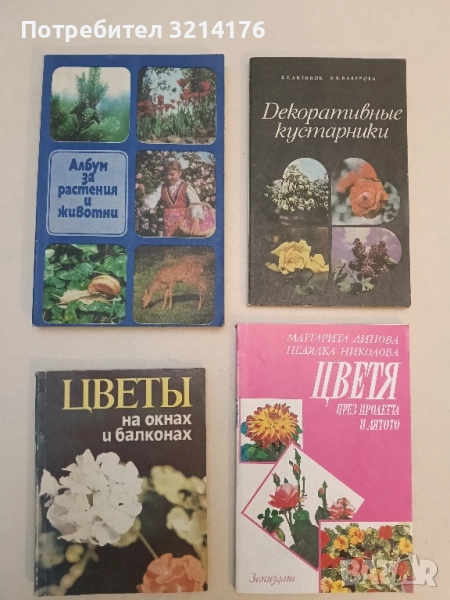 Цветы на окнах и балконах - А. Якабова, снимка 1