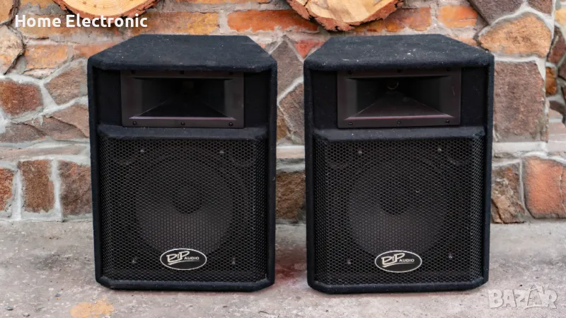 Професионални тонколони 12 инча Pip Audio P1220, снимка 1