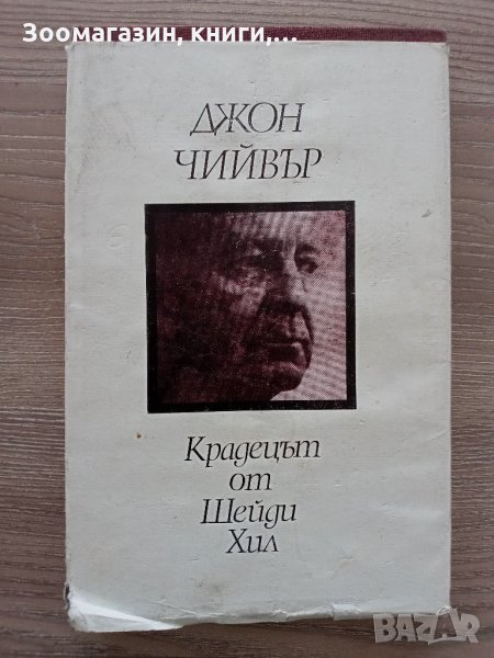 Крадецът от Шейди Хил - Джон Чийвър, снимка 1