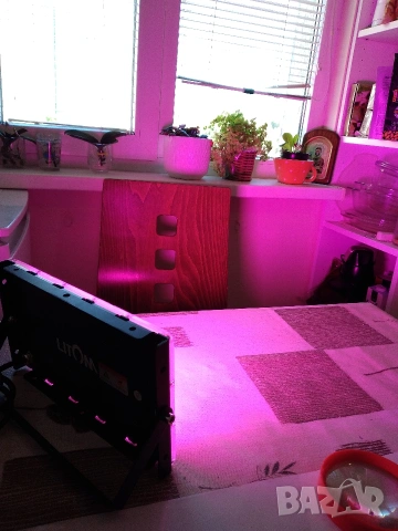 LED лампа за растения