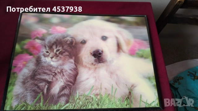 Продавам декоративна 2 D картина, снимка 2 - Картини - 51981539