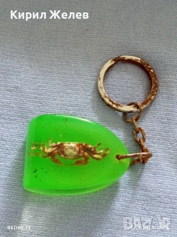 Ключодържател хербарий Рак много красив интересен модел 31428