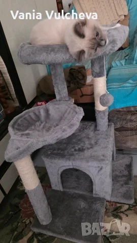 Котешка катерушка с драскалка на 4 нива,с играчка,несглобена,нова,в неразпечатан кашон., снимка 4 - За котки - 55804439