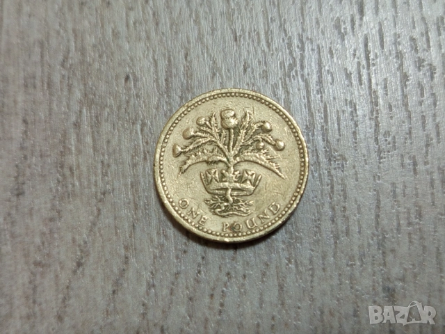 Монета 1984 Великобритания £1 pound (Scottish Thistle) - Elizabeth II , снимка 2 - Нумизматика и бонистика - 52546429