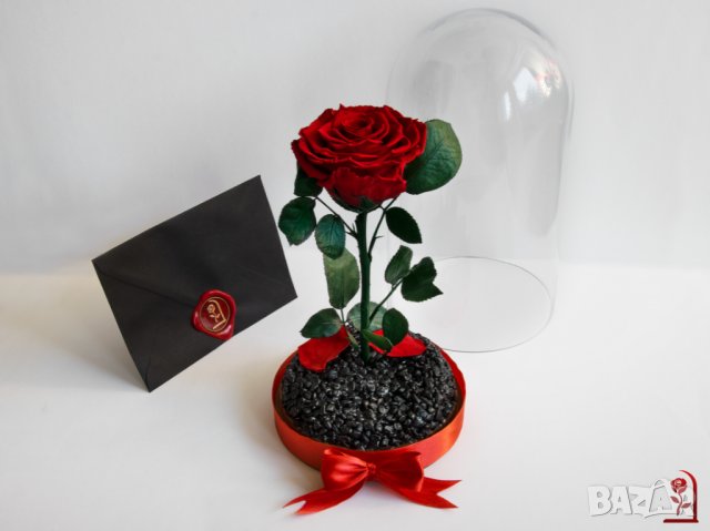 Вечна Роза в ГОЛЯМА стъкленица / Уникален Подарък за Жена / Естествена Вечна роза Подарък за Момиче, снимка 5 - Други - 34470627