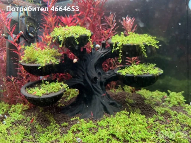 Декорации за Аквариум