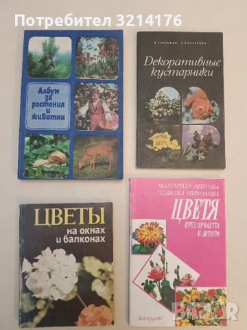 Цветы на окнах и балконах - А. Якабова