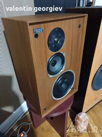 Celestion ditton 22, снимка 3 - Тонколони - 54316225