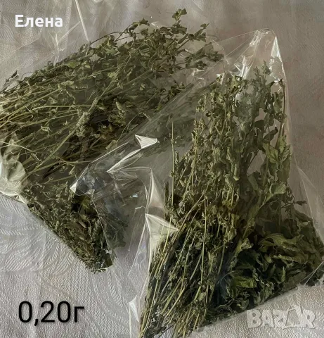 сушени билки и подправки, снимка 8 - Други - 55796777