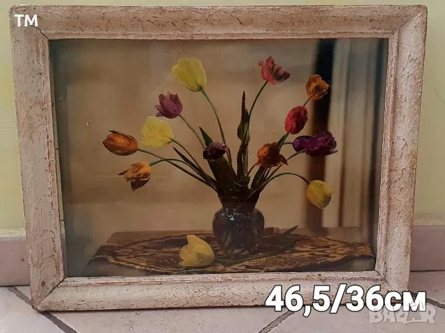 Продавам красиви ретро картини, снимка 2 - Картини - 49856556