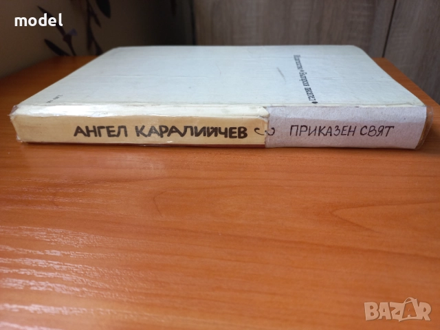 Приказен свят - Ангел Каралийчев - том 3, снимка 9 - Детски книжки - 51602750
