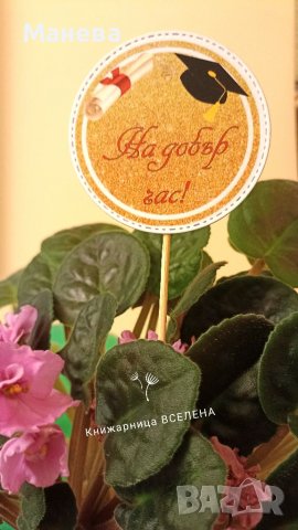 Послание на клечка , снимка 6 - Декорация за дома - 39305794