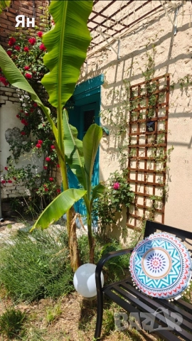 обзаведен двустаен апартамент в центъра на Пловдив за двор, снимка 14 - Апартаменти - 51814913