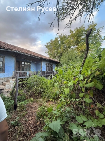 ПЧЕЛИН С КЪЩА С 4.5 ДКА ГРАДИНА / терен / парцел / в с. Васил Левски , обл. Силистра .-цена 20 650лв, снимка 5 - Къщи - 51975120