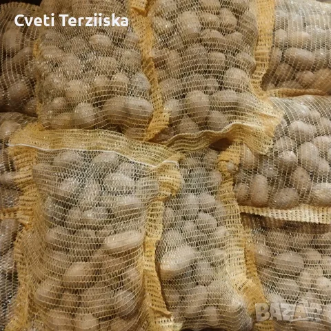 Продавам картофи, снимка 2 - Домашни продукти - 56519577