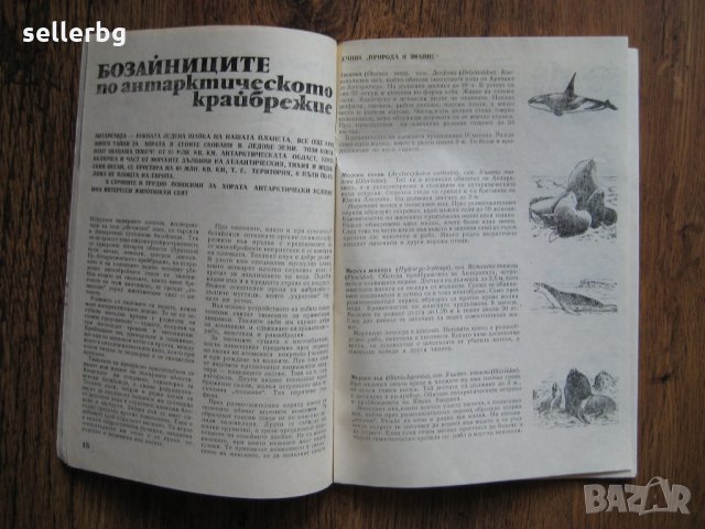 Списание Природознание - брой 2, 1974 г., снимка 7 - Списания и комикси - 31225957