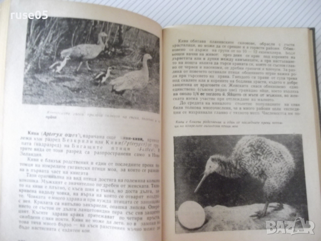 Книга "Изчезнали и изчезващи животни - Н.Николов" - 292 стр., снимка 6 - Специализирана литература - 36561035