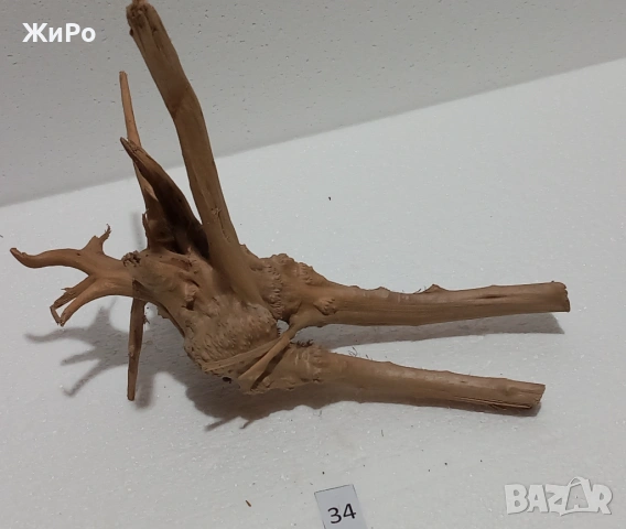 Корен от Азалия /декорация/ 34