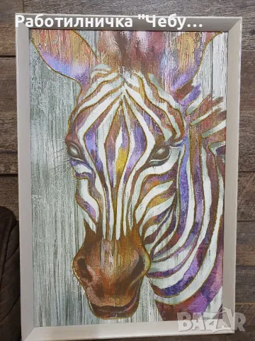 Картина ЗЕБРА