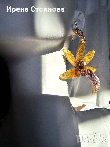 Обеци с естествен цвят на орхидея Камбриа, снимка 6 - Обеци - 52364889