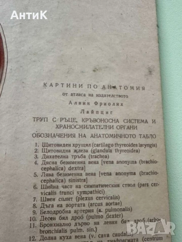 Соц Анатомични Медицински Плакати, снимка 6 - Антикварни и старинни предмети - 51384957
