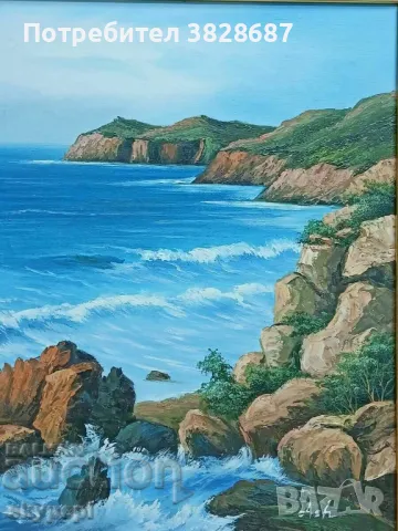 Морски пейзаж, снимка 2 - Картини - 48265537