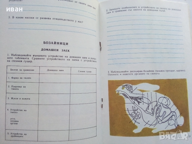 Биология учебна тетрадка 7.клас - 1982г, снимка 5 - Учебници, учебни тетрадки - 52804456