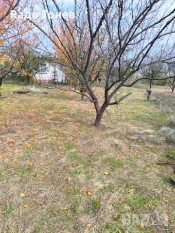 Дивдядово -Парцел с малка постройка - земеделска земя, снимка 4 - Парцели - 53995661