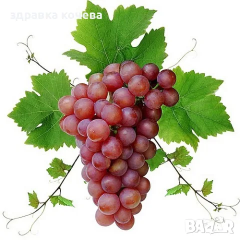 Флайм  за ракия