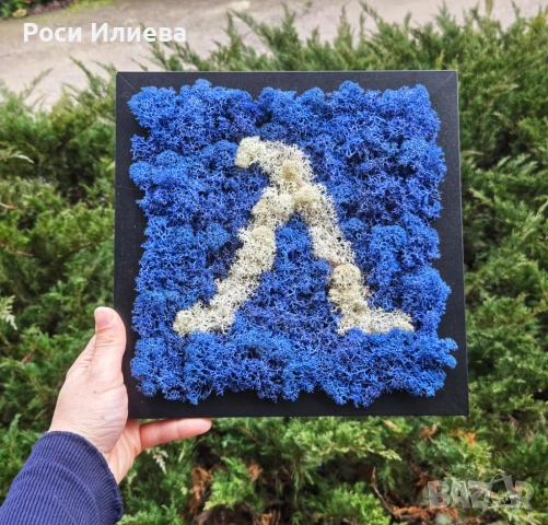 Картина "Левски" декорирана със скандинавски мъх, снимка 2 - Картини - 53272061