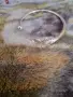 Посребрени гривни, снимка 4