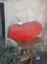 Резервоар Simson, снимка 1
