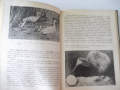 Книга "Изчезнали и изчезващи животни - Н.Николов" - 292 стр., снимка 6