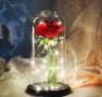 Светеща вечна роза в стъкленица
с красива подаръчна кутия , снимка 1