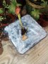 Цена: 19.86 лева за 1 брой готово растение, Дионея - Венерина мухоловка, доставка с Еконт или Спиди, снимка 1 - Градински цветя и растения - 29339084